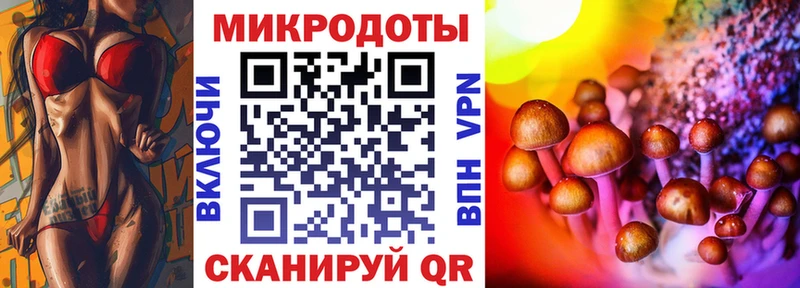 kraken как войти  хочу наркоту  Севск  Галлюциногенные грибы мухоморы 